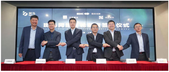 开放的斑马，受益的不止尊龙凯时
